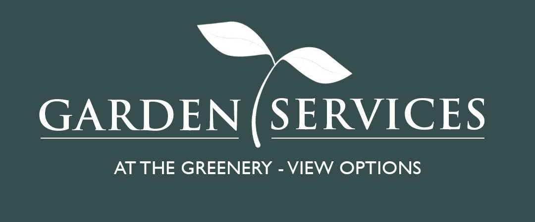 Garden Services at The Greenery, packages available, Expert home visit, Garden consult and sketch, Deliver and installation